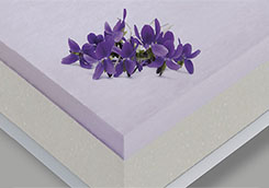malva_foam