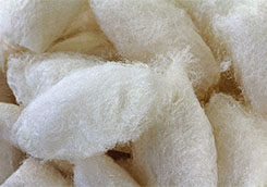 silk