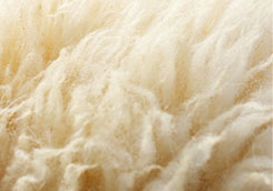wool